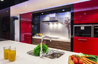Staines Green kitchen extensions