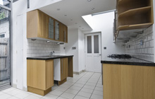 Staines Green kitchen extension leads